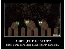 3508543.45758.jpeg