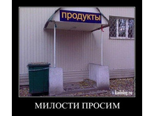 3508546.54654.jpeg