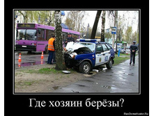 3508552.75675.jpeg