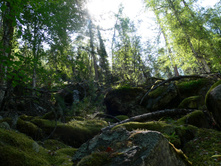 02.09.2007 12:50:24