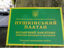 27082013380.jpg