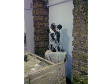 27082013433.jpg