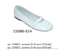 15986.png
