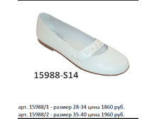 15988.png