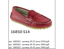 16850.png