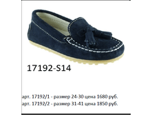 17192.png