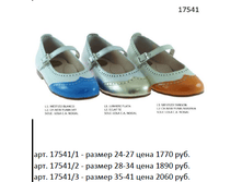 17541.png