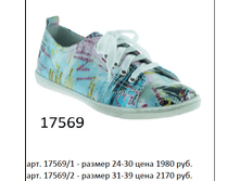 17569.png