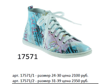 17571.png