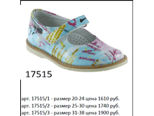 17515.png