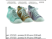 17572.png