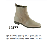 17577.png