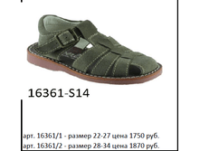16361.png