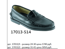 17013.png