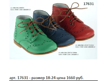 17631.png