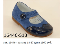 16446.png
