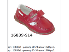 16839.png