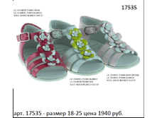 17535.png