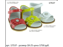 17537.png
