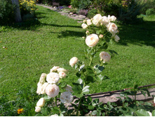 S73R6011.JPG
