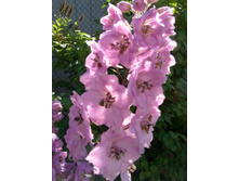 S73R6029.JPG