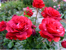 S73R6048.JPG