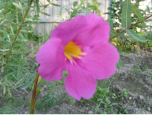 S73R6102.JPG