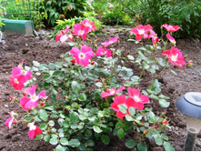 S73R6119.JPG