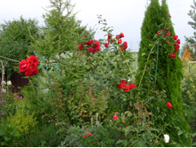 S73R6126.JPG