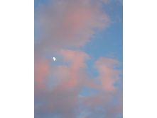 DSCN7204.JPG
