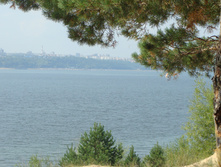 DSC08198.JPG