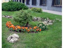 P1050218_.jpg