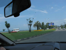 IMG_1067.jpg