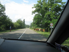 IMG_4166.JPG