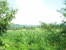 IMG_4167.JPG