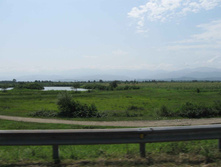IMG_4185.JPG
