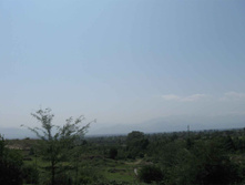 IMG_4196.JPG