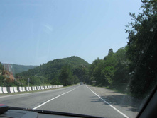 IMG_4219.JPG