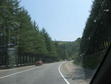 IMG_4220.JPG