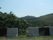 IMG_4225.JPG