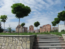 IMG_0577.jpg