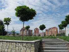 IMG_0578.jpg