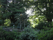 IMG_1165.jpg