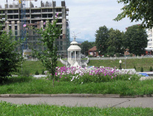 IMG_0587.jpg