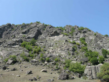 IMG_4269.JPG