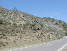 IMG_4274.JPG