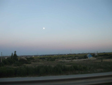 IMG_4966.JPG