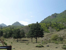 IMG_4276.JPG