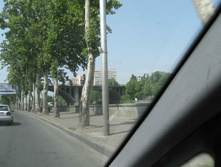 IMG_4603.JPG