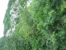 IMG_0619.jpg